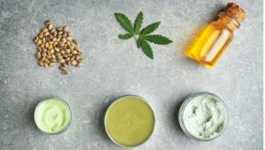 hemp oil vs cbd oil