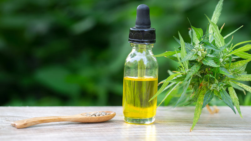 CBD oil cannabis extract, Hemp oil bottles and hemp flowers on a wooden table