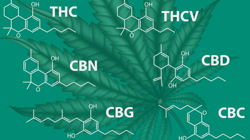 Major classes of cannabinoids illustration and chemistry structure illustration