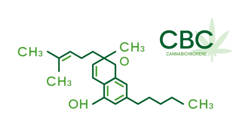 Cannabinoids: Differences Between CBD vs CBG, CBDA, CBN, CBC, and