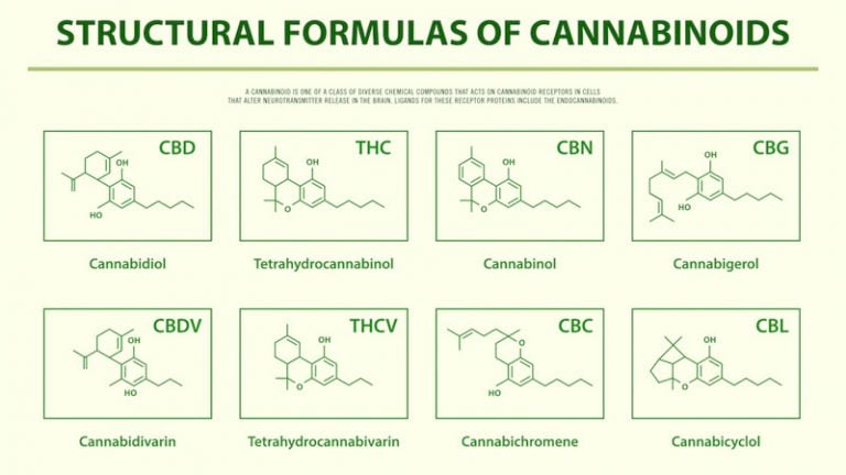 Cannabinoids: Differences Between CBD Vs CBG, CBDA, CBN, CBC, And CBDV ...