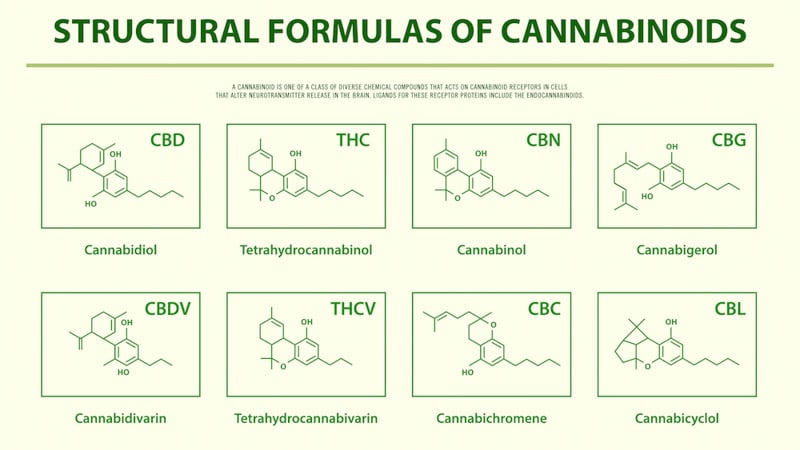 Cannabinoids: Differences Between CBD vs CBG, CBDA, CBN, CBC, and