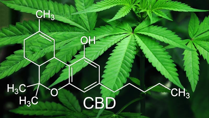 CBD substance chemistry structure with hemp background