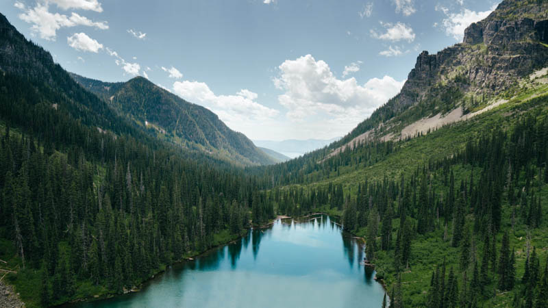 National park forest in Montana