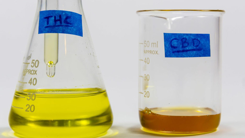CBD and THC extracts inside two glass jars in a lab