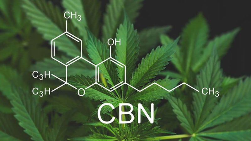 CBN cannabinoid illustration and chemistry structure