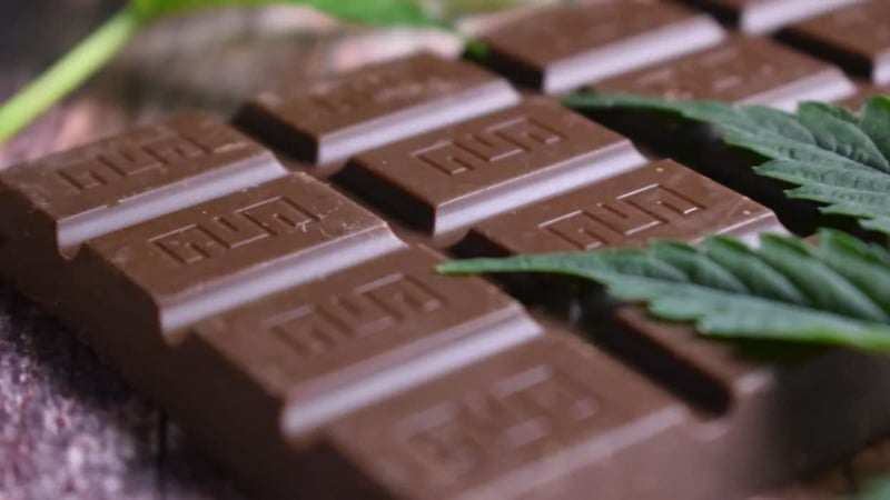 CBD chocolate how to make