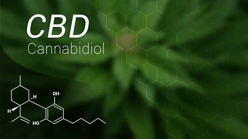 Cannabidiol chemistry structure with hemp in background