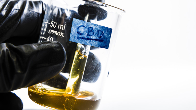 CBD extracted oil inside a glass jar