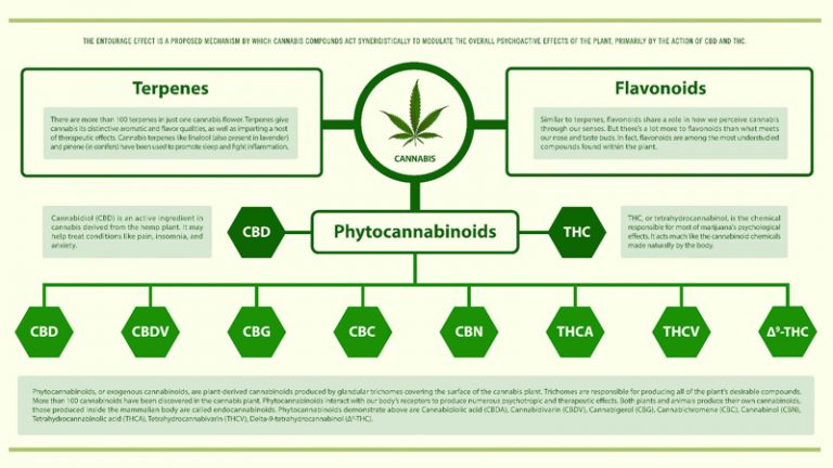 Terpenes: What Are They and Why Add Them to CBD Oil - Royal CBD