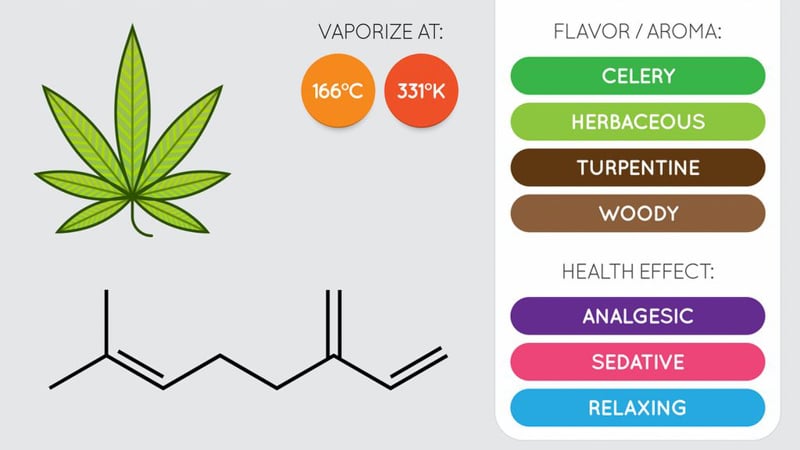 Myrcene terpene chemistry structure and effects illustration