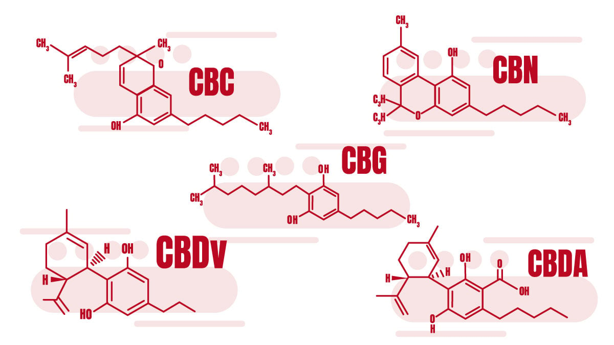 Cannabinoids: Differences Between CBD vs CBG, CBDA, CBN, CBC, and CBDV