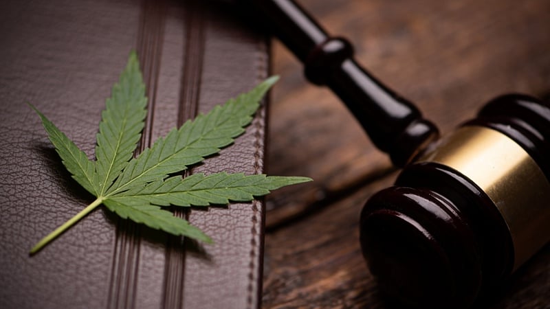 cannabis leaf on a book and a judge's gavel