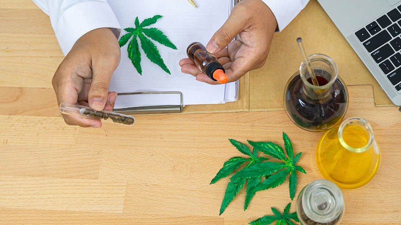 Doctor holding CBD oil and cannabis with hemp leaves and paper on the table