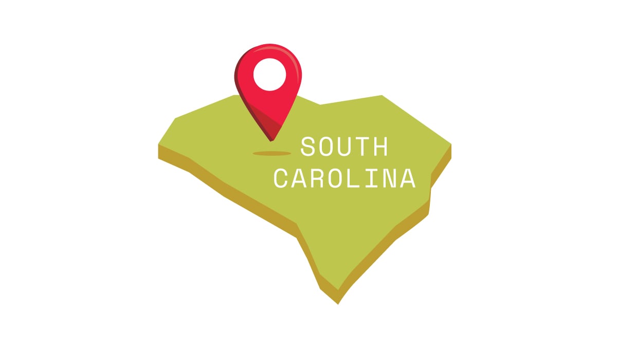 CBD Oil in South Carolina: Is It Legal & Where to Buy in 2022?