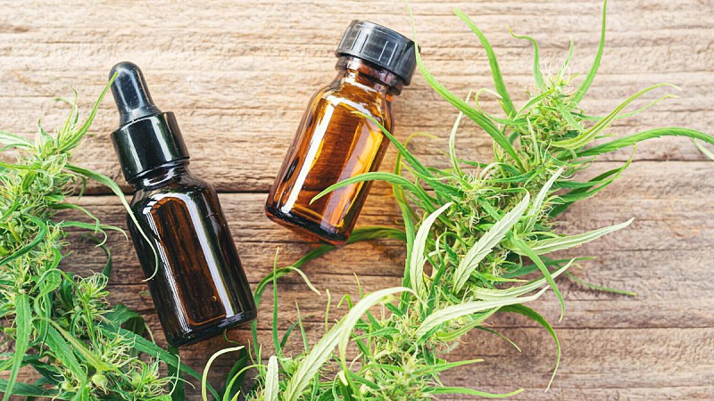 CBD extract in bottles with hemp leaves on laying down on a table