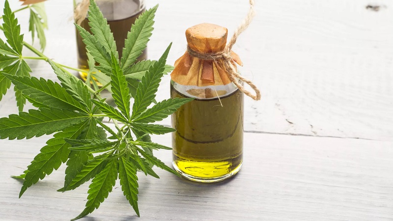 A bottle of CBD oil with hemp leaves