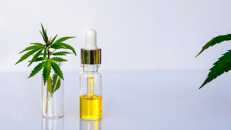 CBD Oil and Hemp Leaves